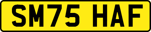 SM75HAF