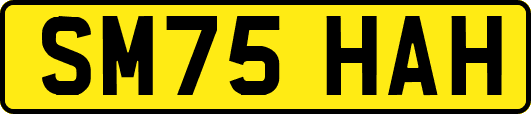 SM75HAH