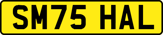 SM75HAL