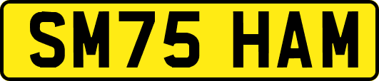SM75HAM