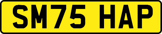 SM75HAP
