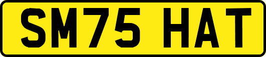 SM75HAT