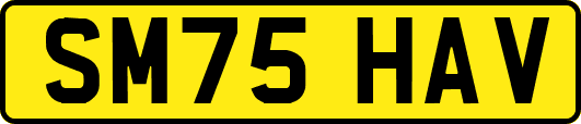 SM75HAV