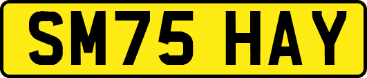 SM75HAY