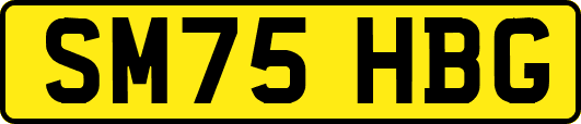 SM75HBG