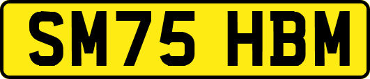 SM75HBM