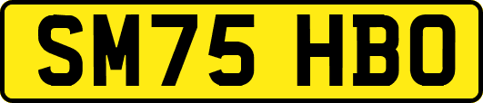 SM75HBO