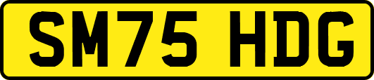 SM75HDG