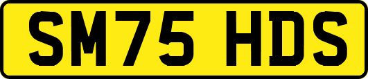 SM75HDS