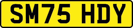 SM75HDY