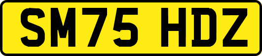 SM75HDZ