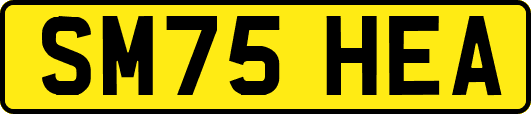 SM75HEA