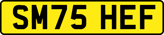 SM75HEF