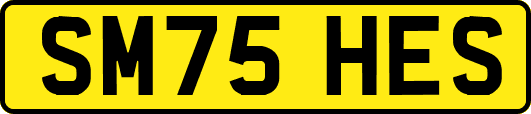 SM75HES