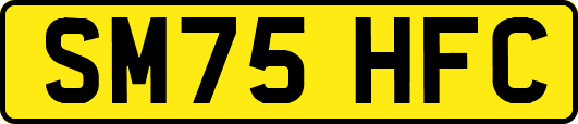 SM75HFC