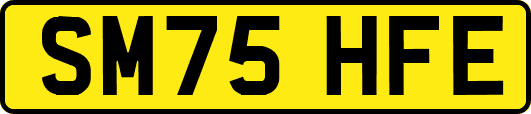 SM75HFE