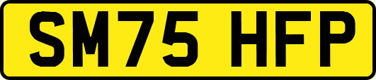SM75HFP