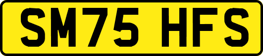 SM75HFS