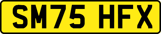 SM75HFX