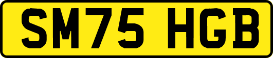 SM75HGB
