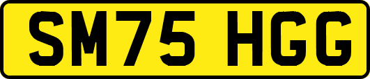 SM75HGG