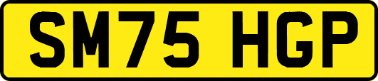 SM75HGP