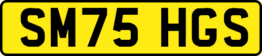 SM75HGS