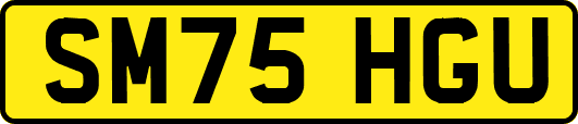 SM75HGU
