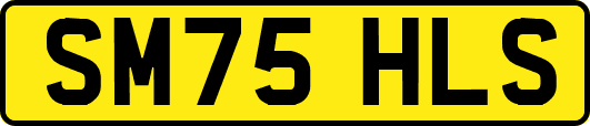 SM75HLS