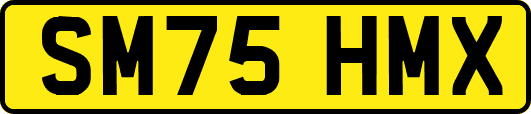 SM75HMX
