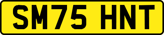 SM75HNT