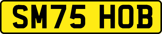 SM75HOB