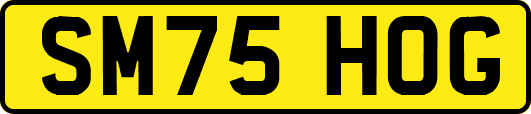 SM75HOG