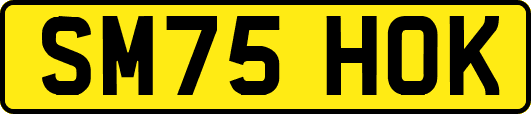 SM75HOK