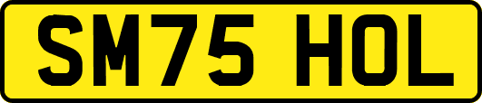SM75HOL
