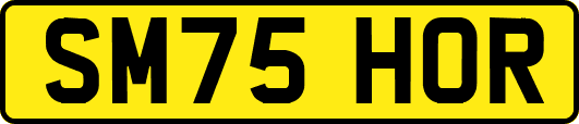 SM75HOR