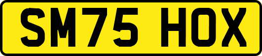 SM75HOX