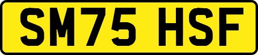 SM75HSF