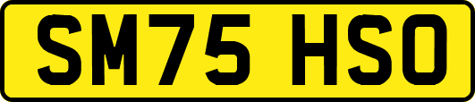 SM75HSO
