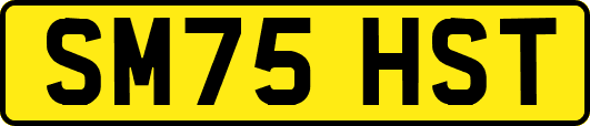 SM75HST