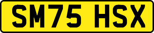 SM75HSX