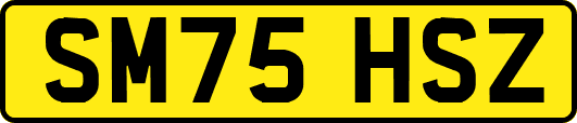 SM75HSZ
