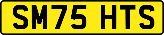 SM75HTS