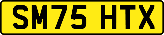 SM75HTX