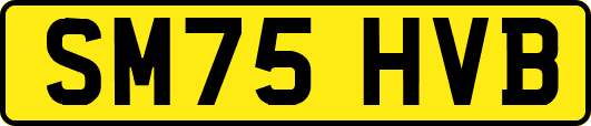 SM75HVB