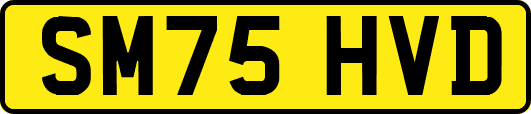 SM75HVD