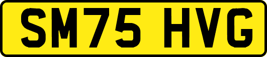 SM75HVG