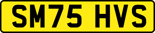 SM75HVS