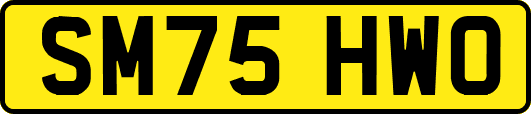 SM75HWO