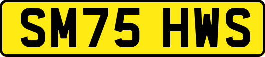 SM75HWS